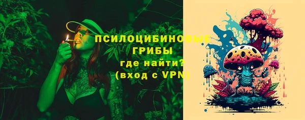 гидра Семёнов